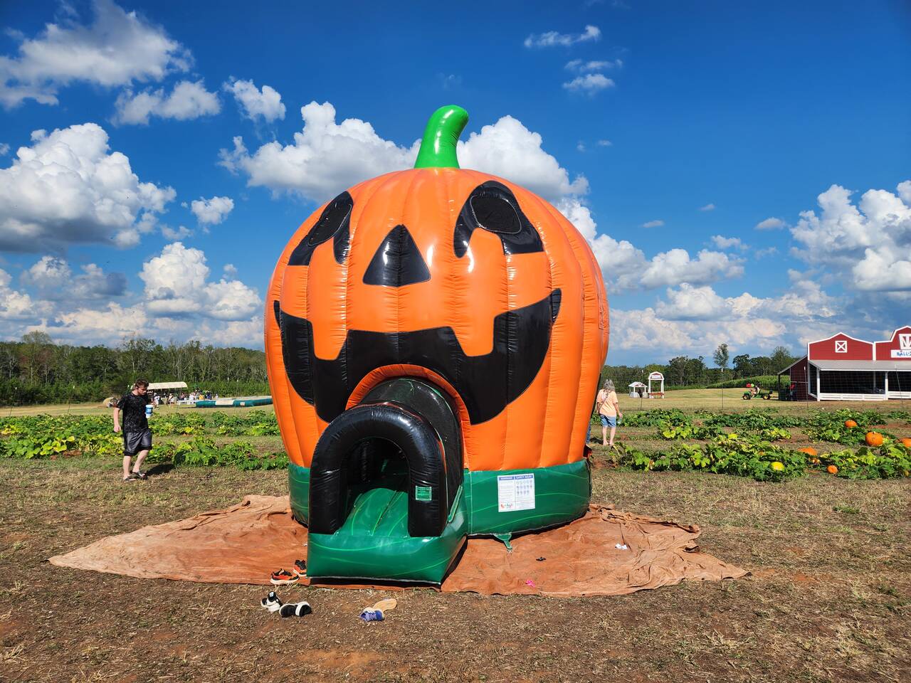 Actual Wow Inflatables Pumpkin Bounce rental unit
