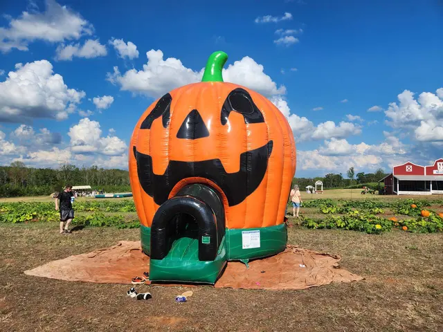 Actual Wow Inflatables Pumpkin Bounce rental unit